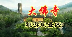 正在播放荡妇舔着阴道中国浙江-新昌大佛寺旅游风景区